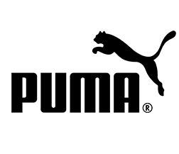 Artifex